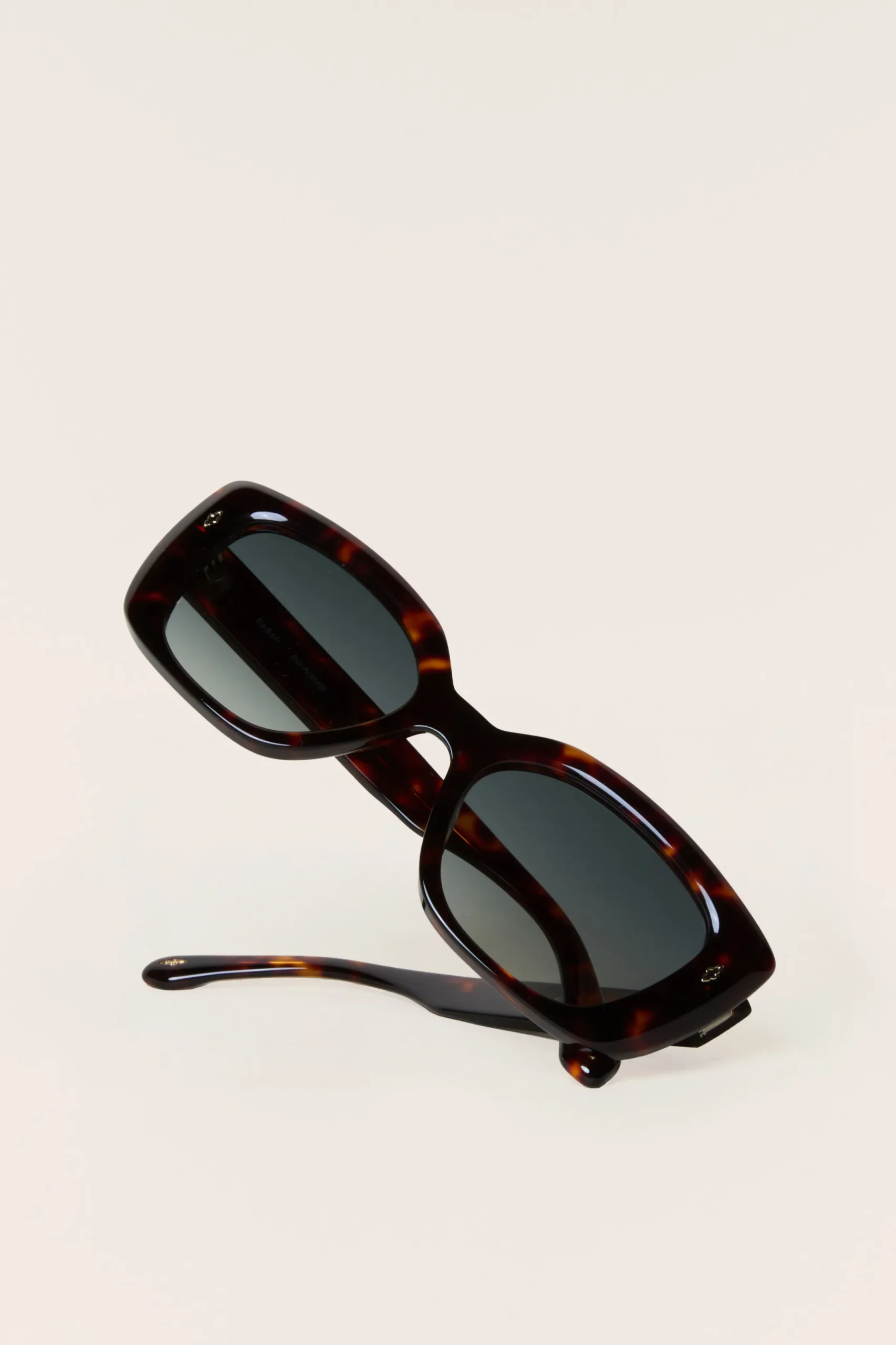 LIZ lunettes de soleil